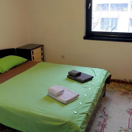 Down Town Apartment